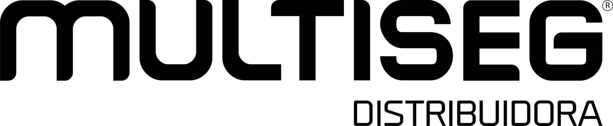 Multiseg distribuidora